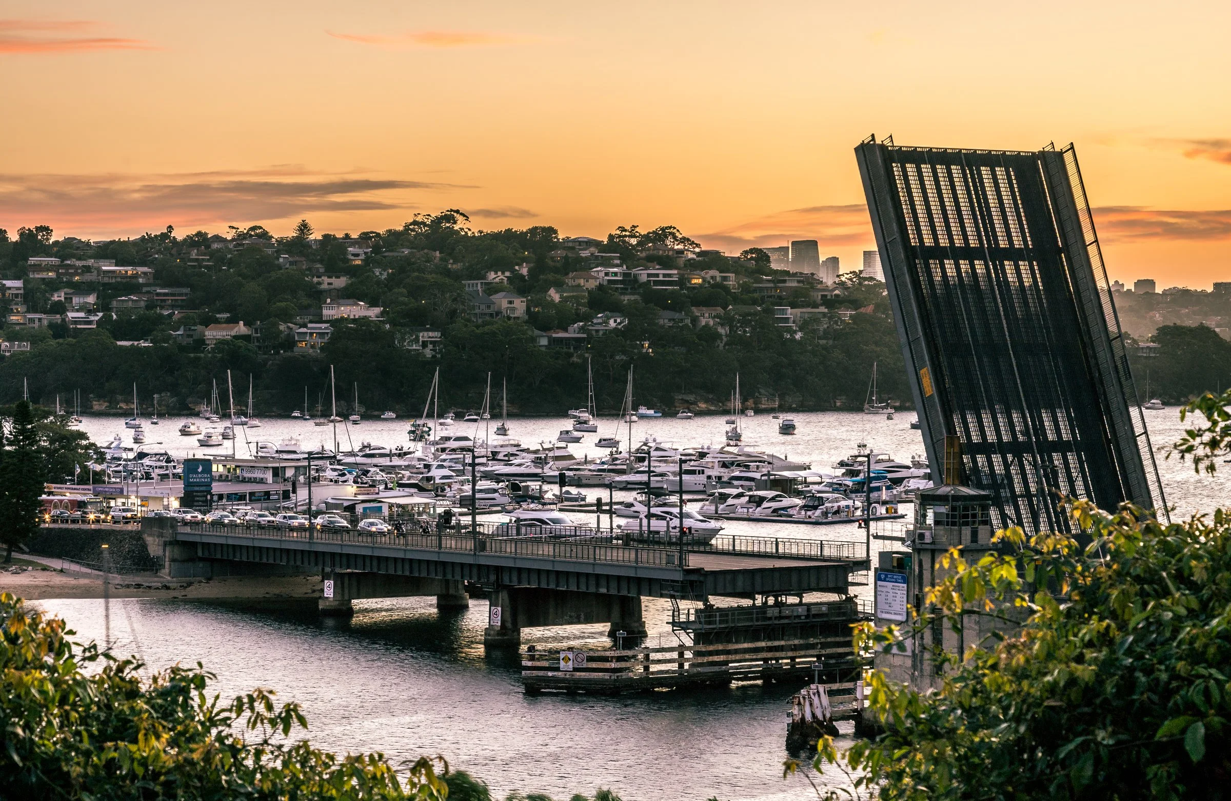 sydney-10.jpg