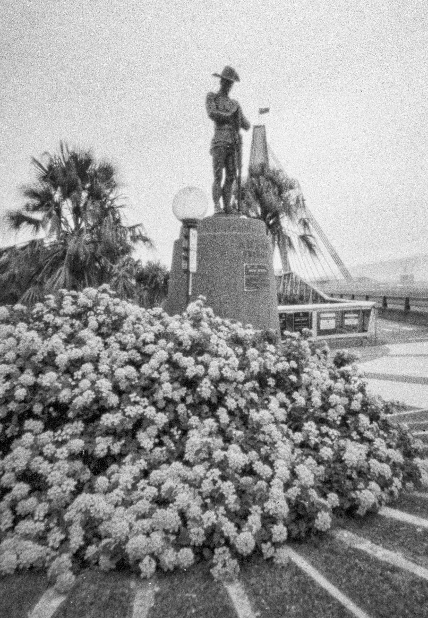 ANZAC bridge, taken with a pinhole camera