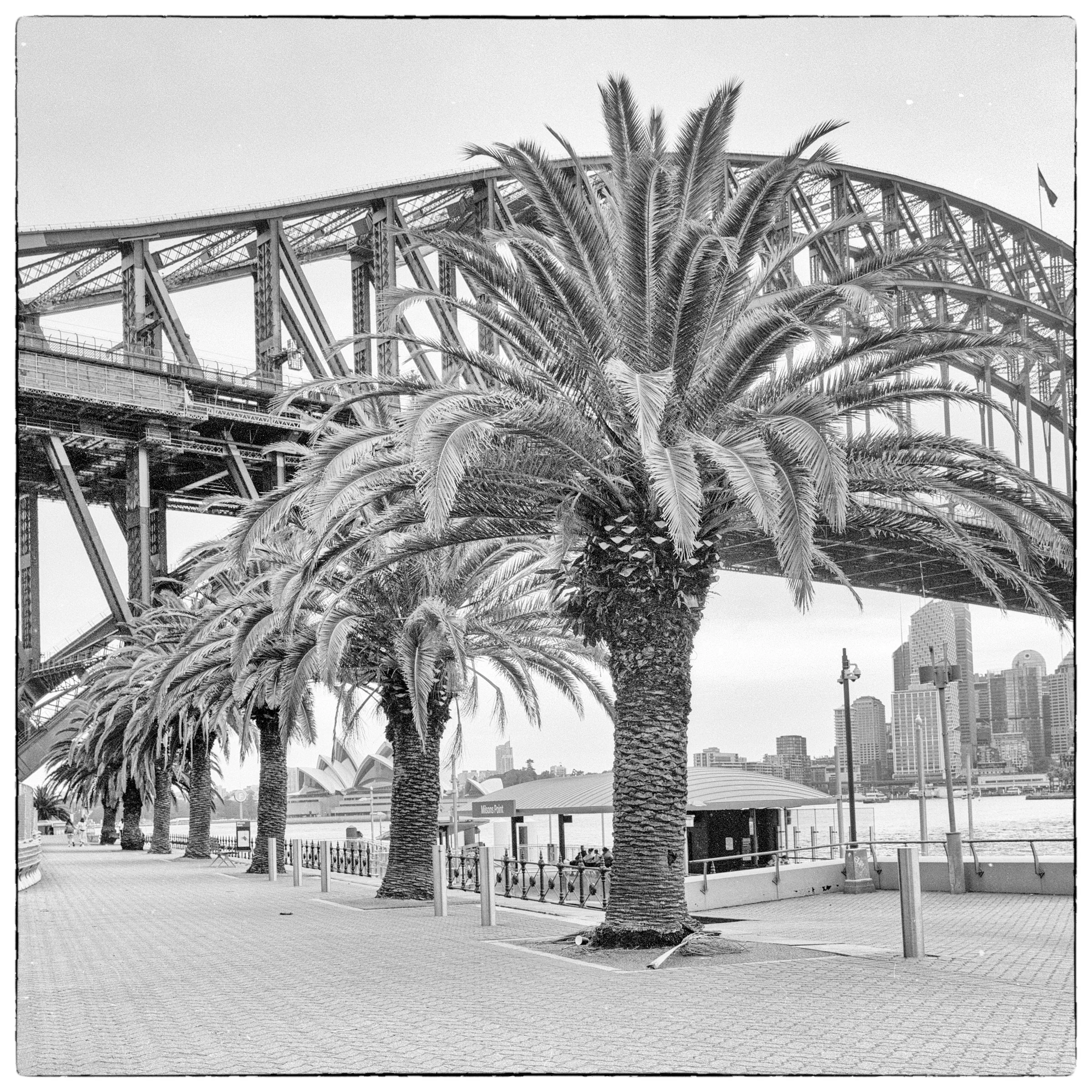 film-25.jpg