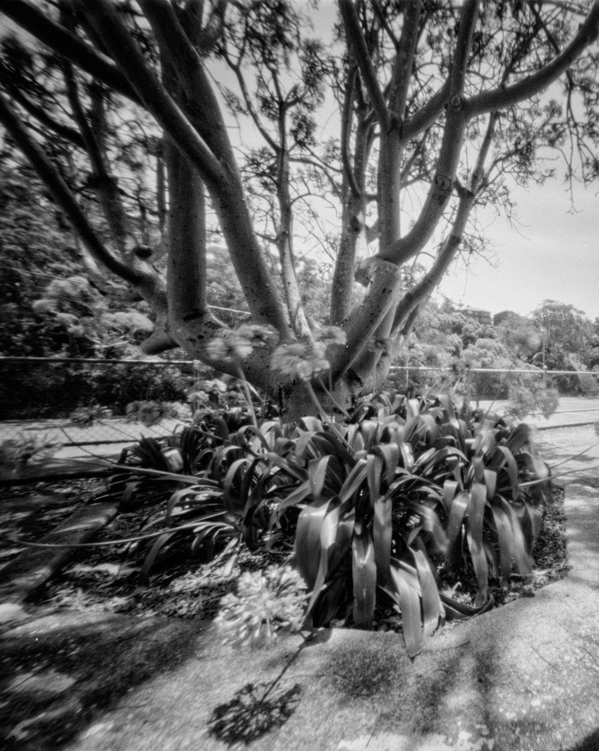 film-13.jpg