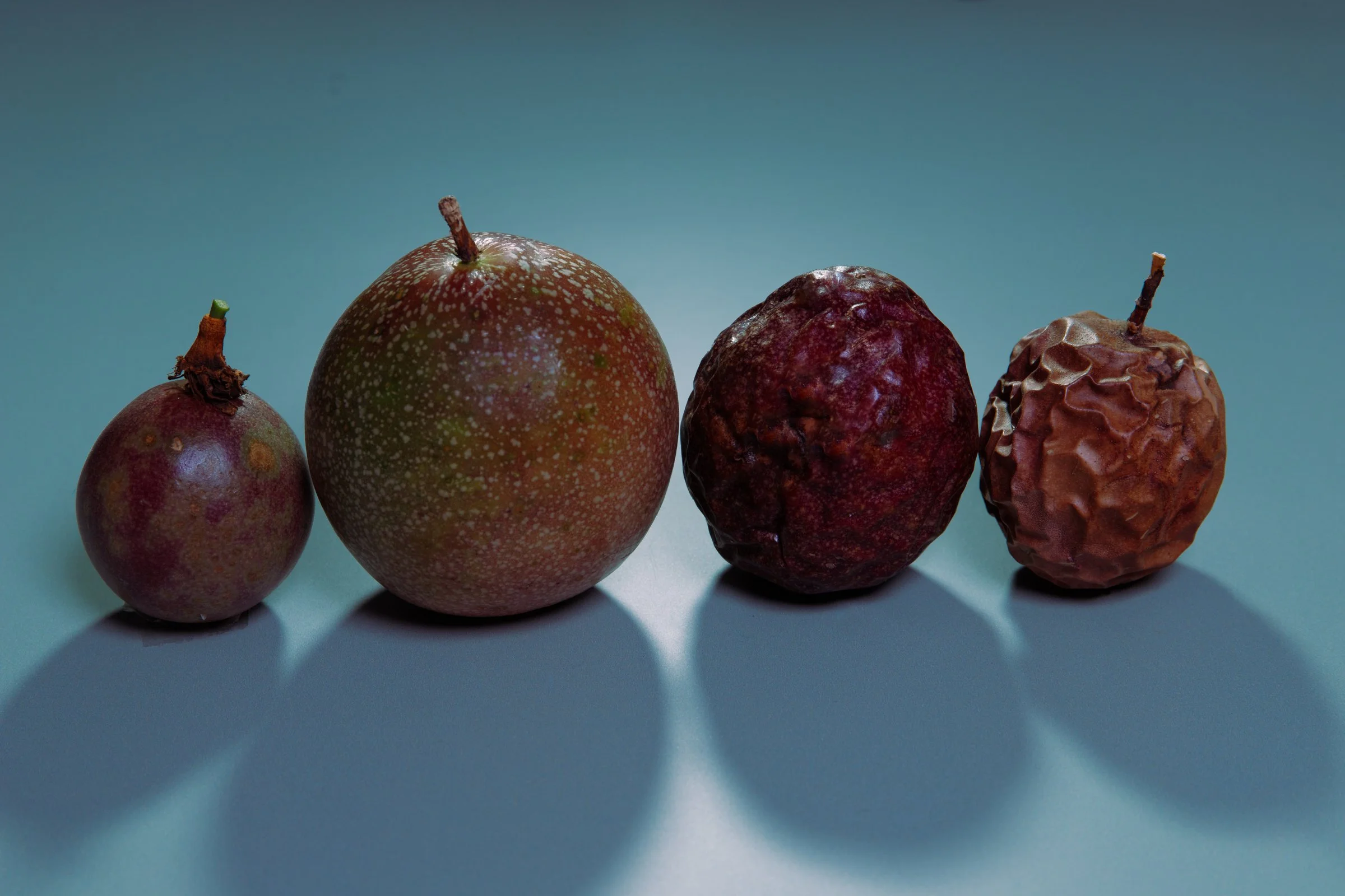 still life-12.jpg