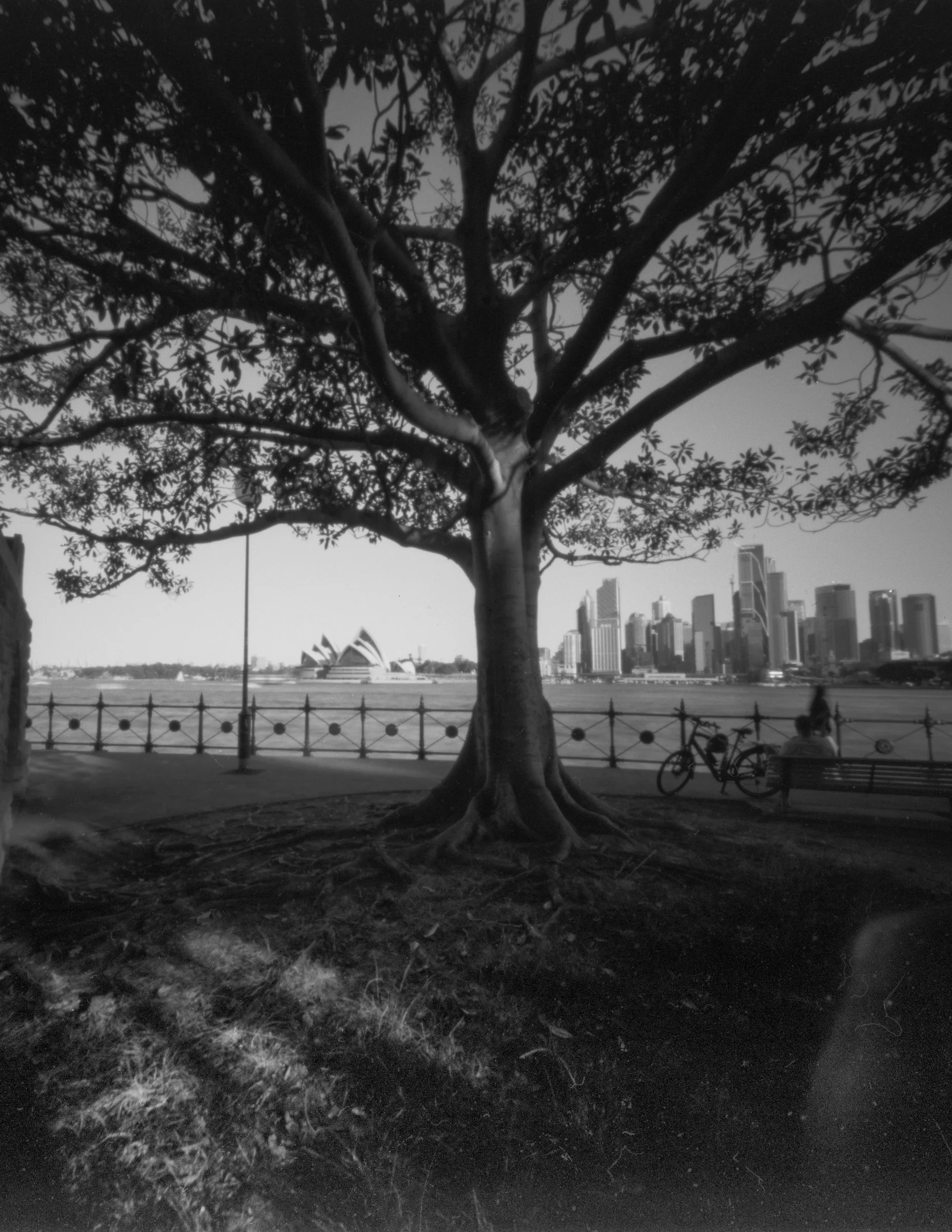 Taken with a 4x5 pinhole camera