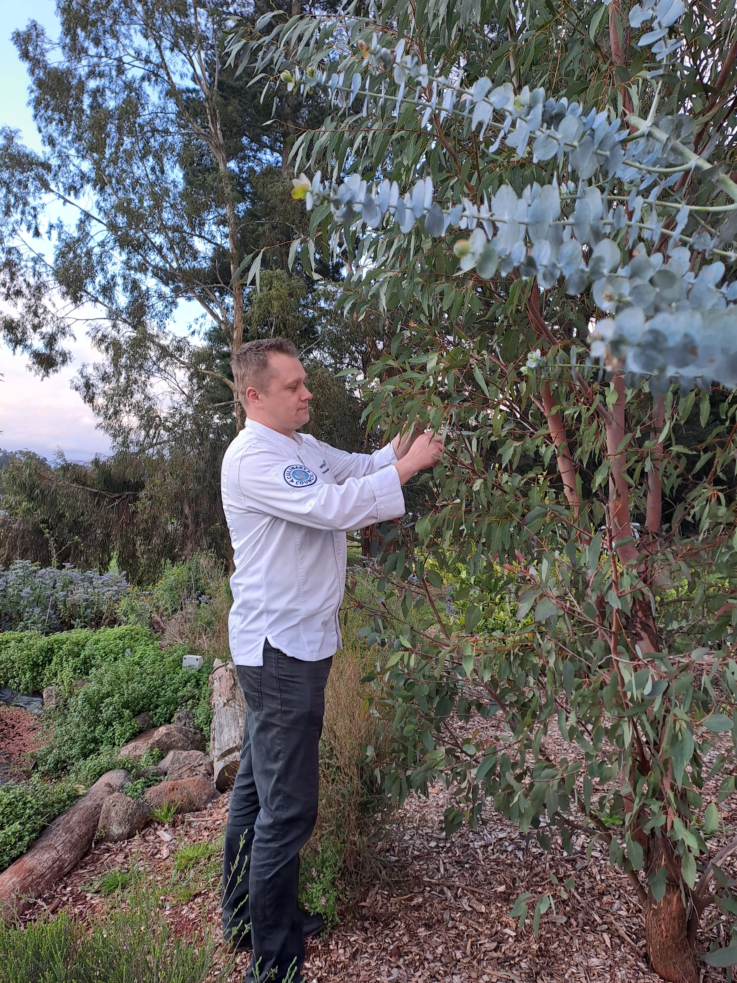 Chef Christian Meinhardt foraging native Australian ingredients on a farm in Yarra Valley, VIC.