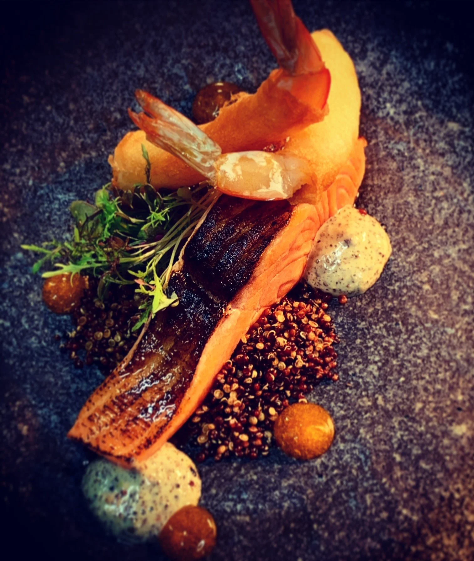 Ocean Trout.jpg
