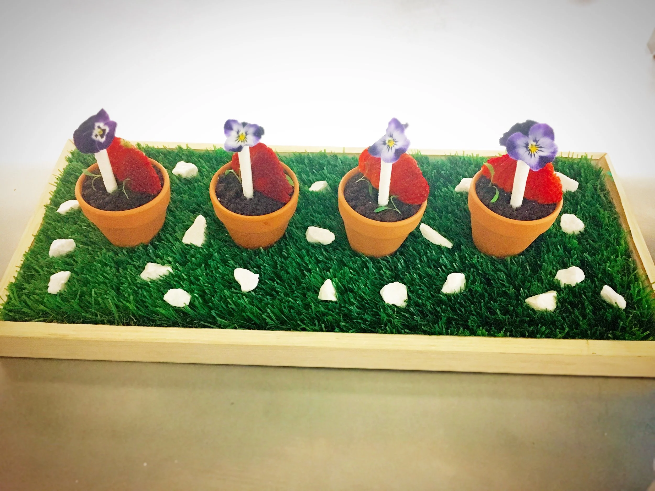 Wild berry parfait with chocolate soil, meringue, viola blossoms and strawberries.