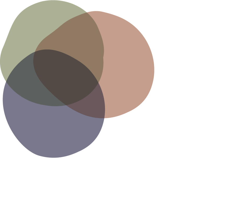 The Whole Student icon
