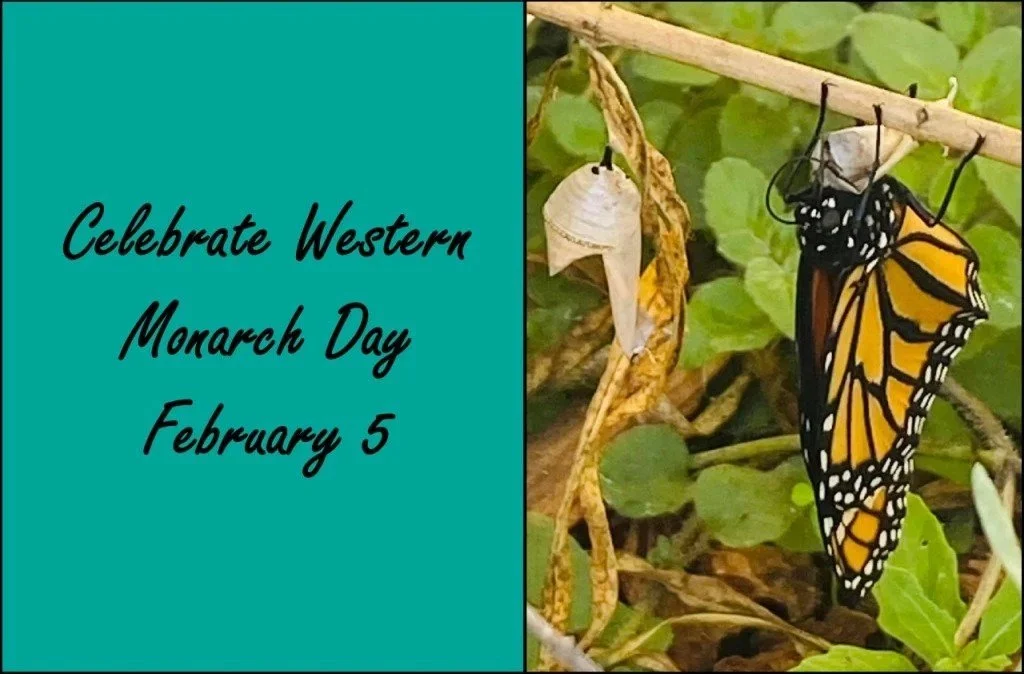 Celebrate Western Monarchs