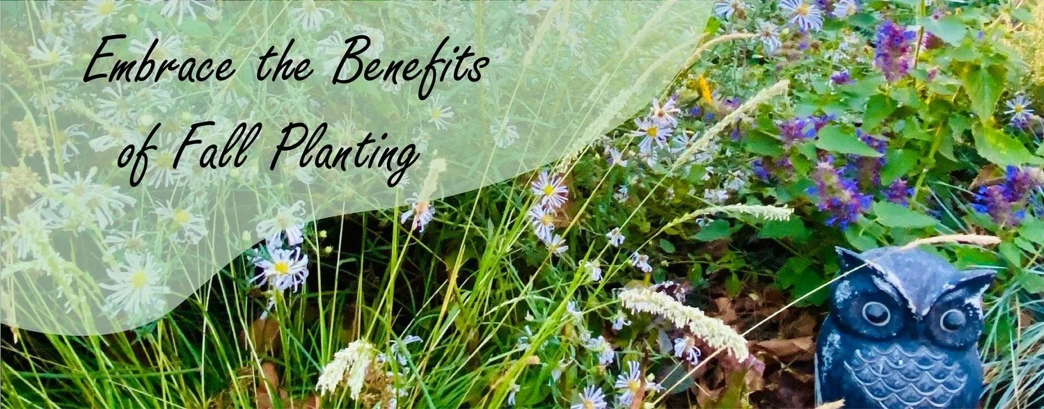 Embrace the Benefits of Fall Planting