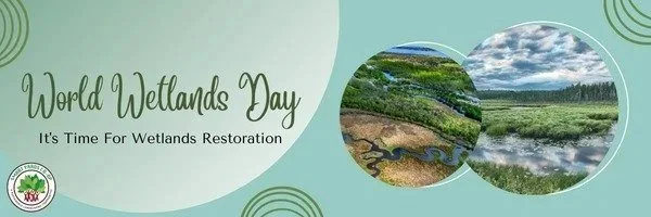 World Wetland Day