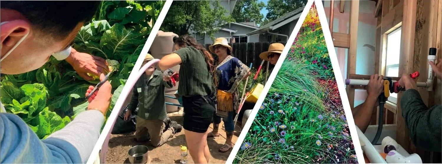 How to Grow Water: A Hands-On Permaculture Skills Training