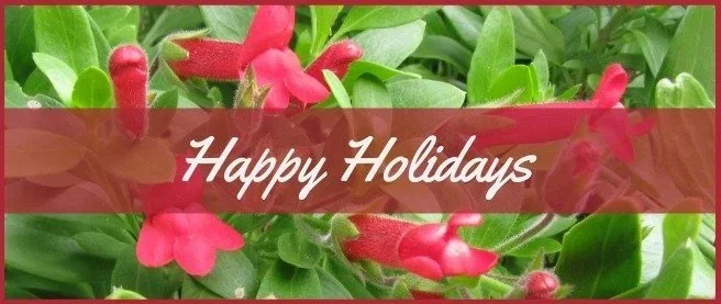 Happy Holidays