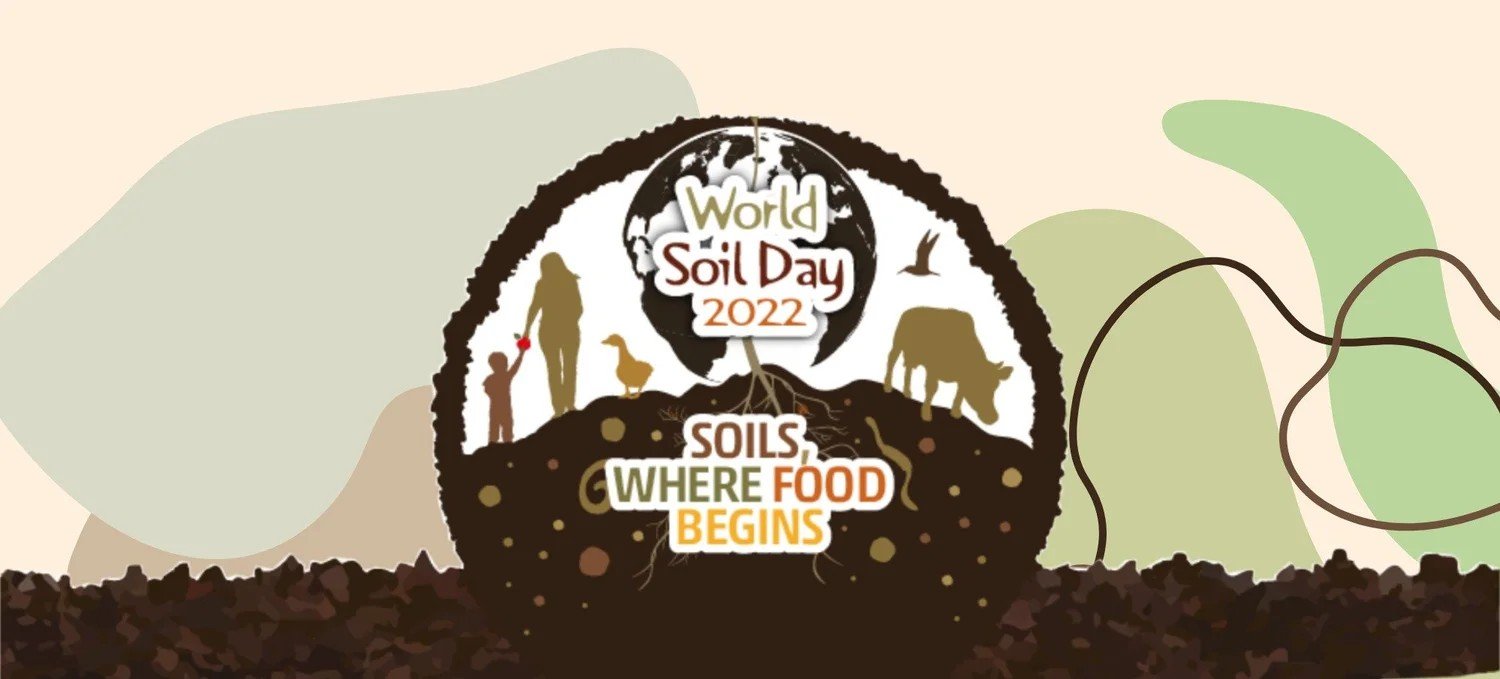 World Soil Day