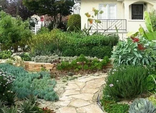 Urban Habitats