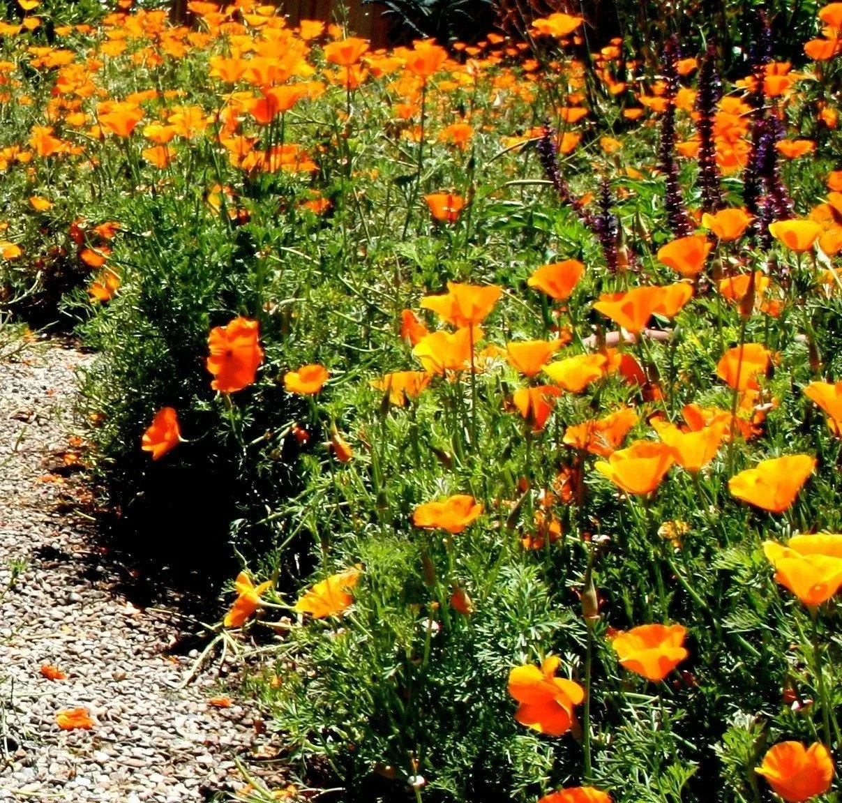 Tips to prepare for El-Niño
