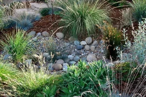 River rock basin that holds rainwater among grasses