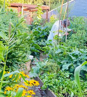 Raised vegetable beds full of greens and flowers