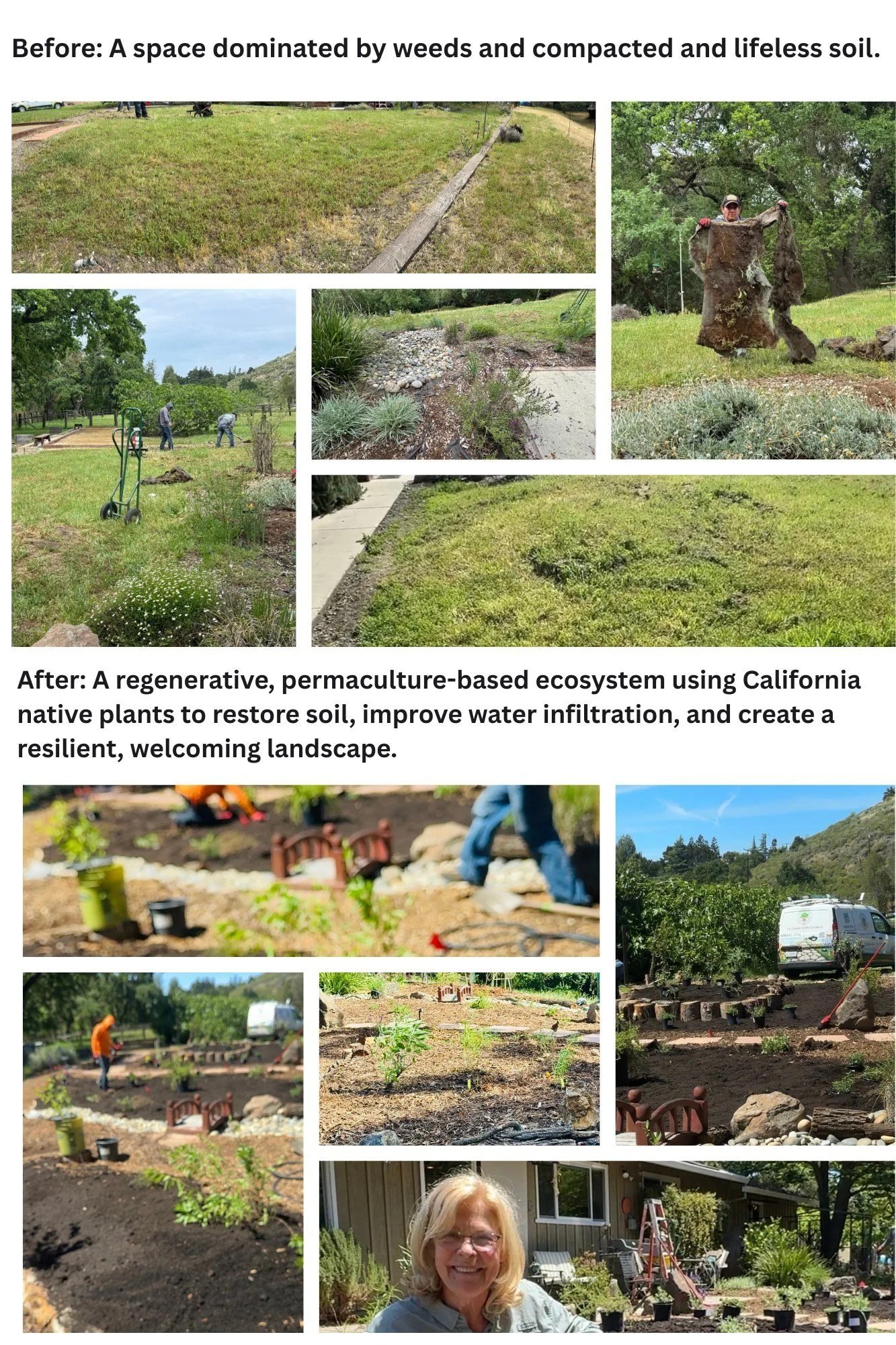 Before and after: a weedy lot turned into a regenerative California native garden, South Bay.