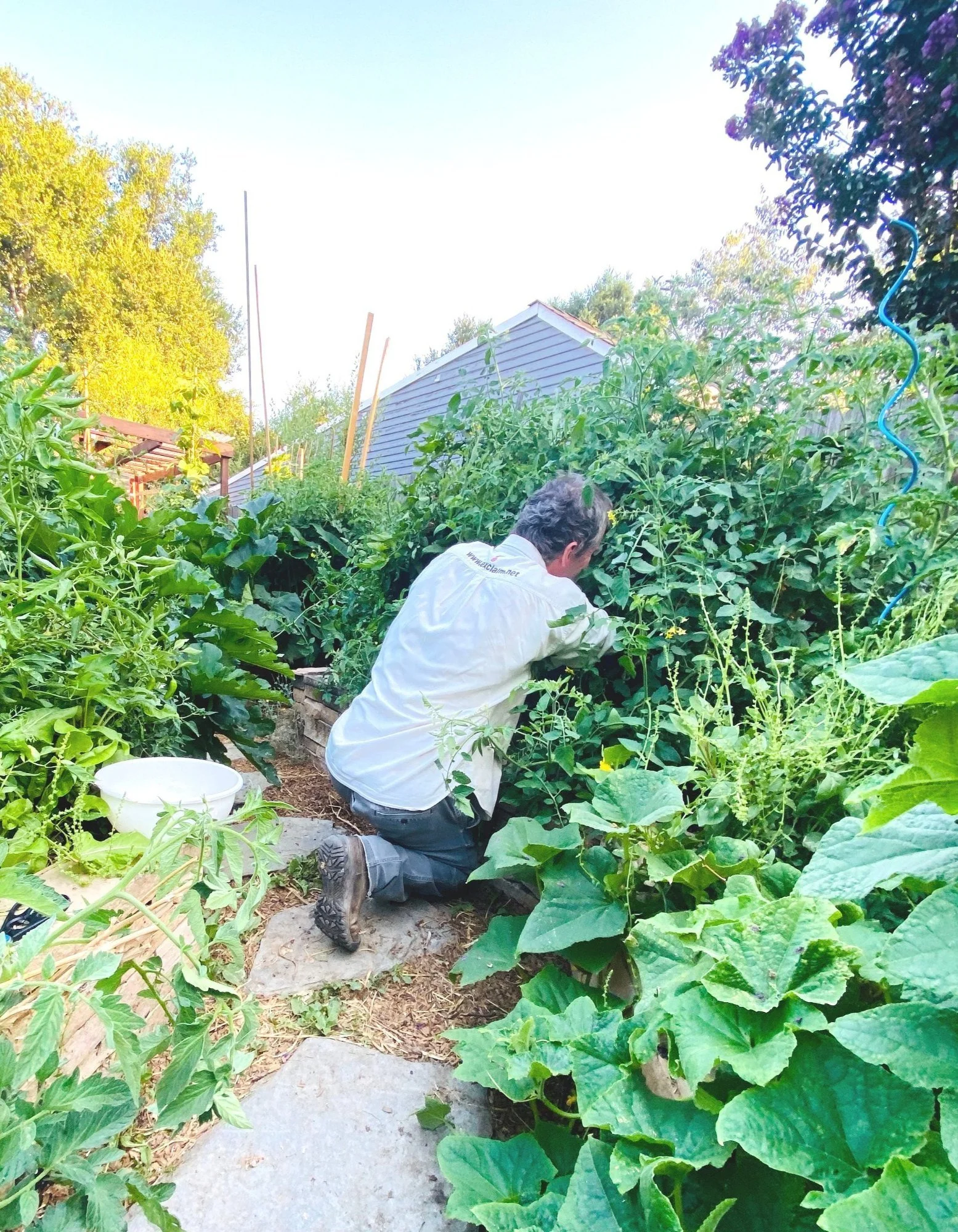Gardener tending a lush edible garden of squash and greens grown with homemade compost