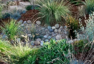 River rock rain garden where water soaks into the ground