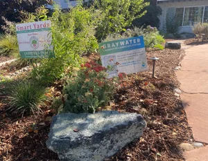 Greywater-irrigated planting with a Graywater Action sign