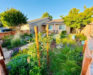 Wooden trellis posts supporting climbing plants