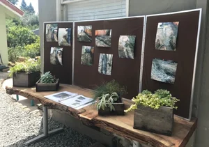 Earth Month 2018 exhibit: photo display boards behind a live-edge wood table with potted succulents