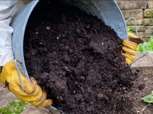 Compost poured onto the soil before planting
