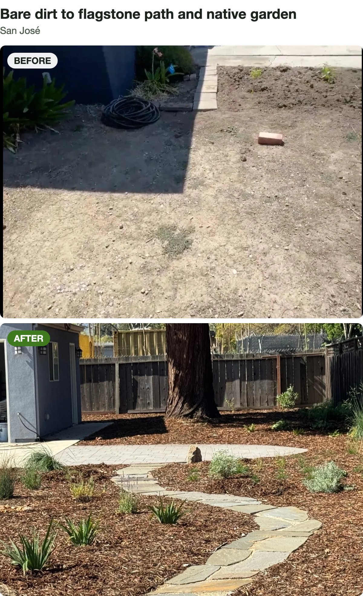 Before and after: a bare backyard reshaped with a winding flagstone path and mulched native beds, San José.
