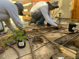 Crew planting natives along new drip lines