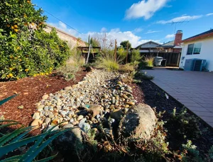 Dry creek bed and flagstone shaped to carry rainwater through the garden