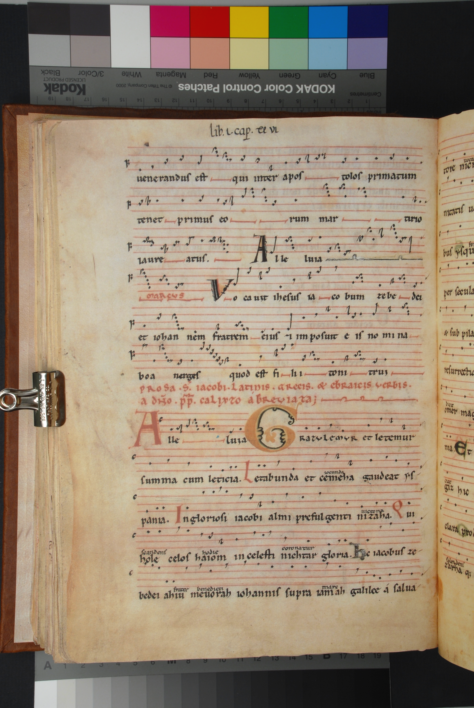 Alleluia-Calixtinus.png