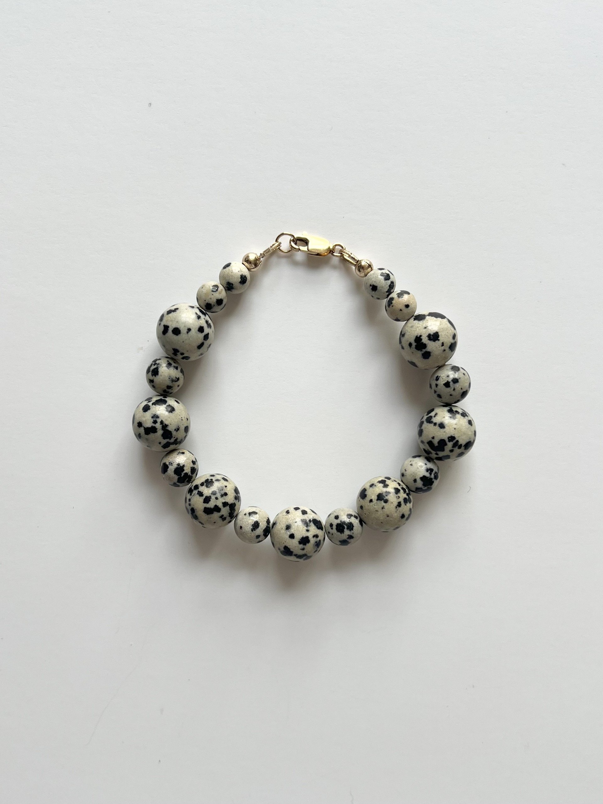 Dalmatian Mix Bracelet4.jpg