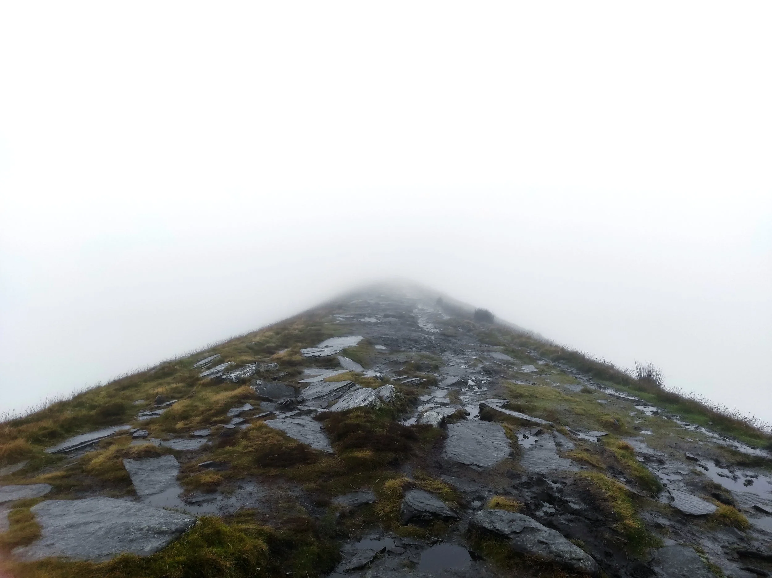 A foggy mountain trail with rocky terrain and sparse grass