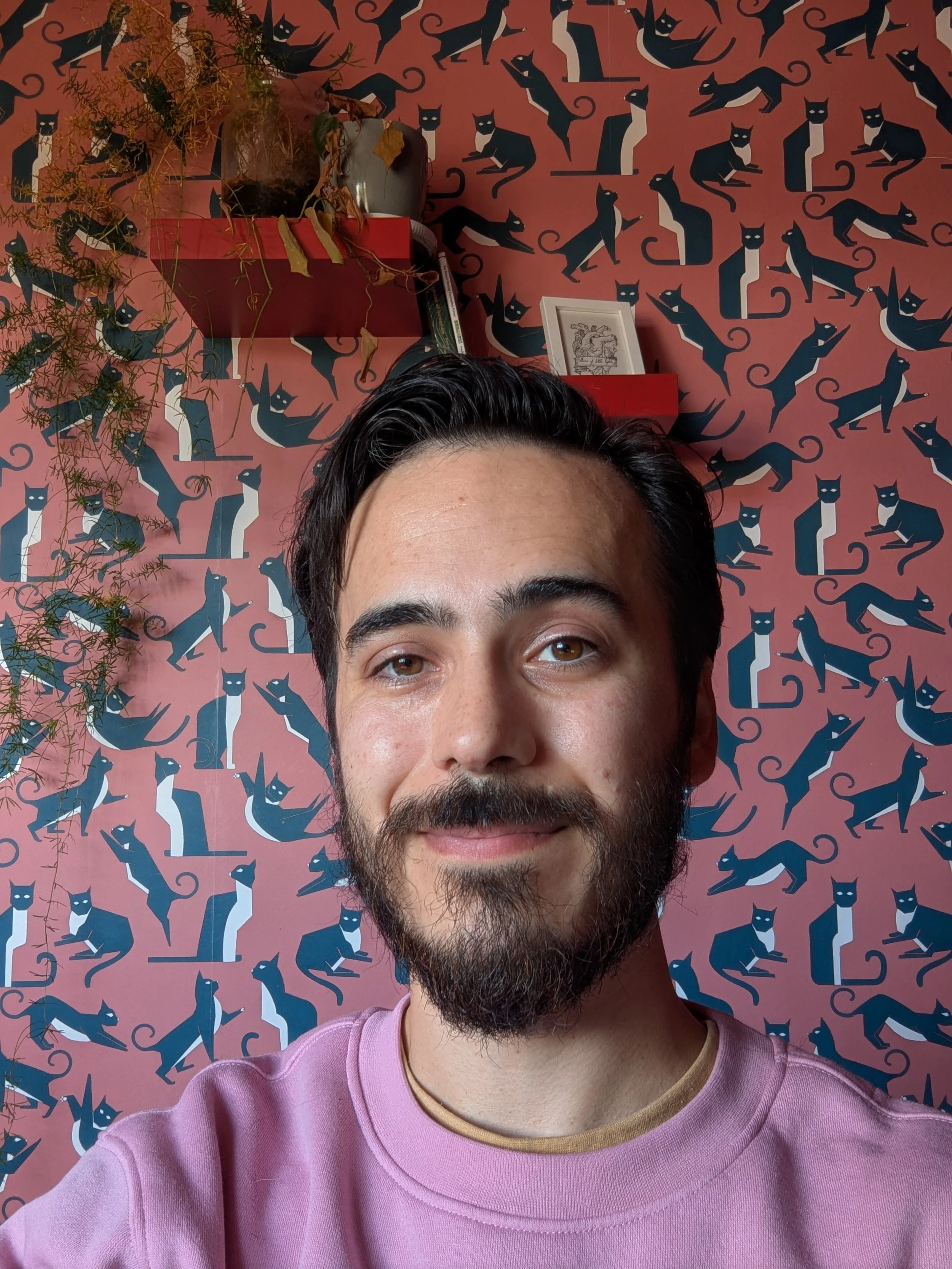 Thomas Mudge standing in front of a pink and black patterned wallpaper featuring stylized black cats with white and gray details.