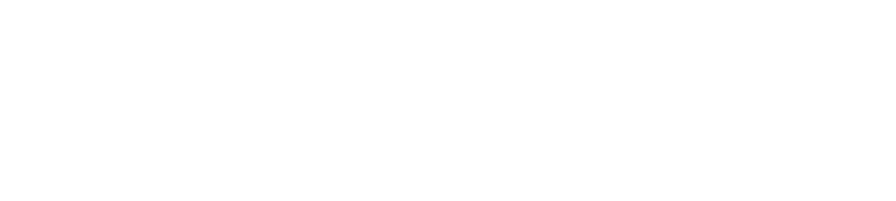 JAN Delights FZE LLC