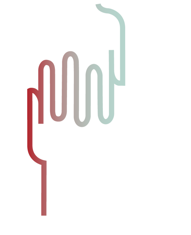 NATIONALE GEWALTSCHUTZ KONFERENZ