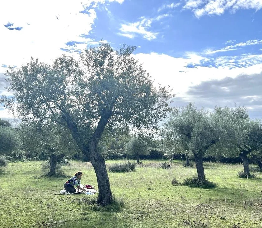A woman in striped shirt sitting on a blanket on green grass, under a large tree in an olive grove, with a blue sky and clouds overhead.