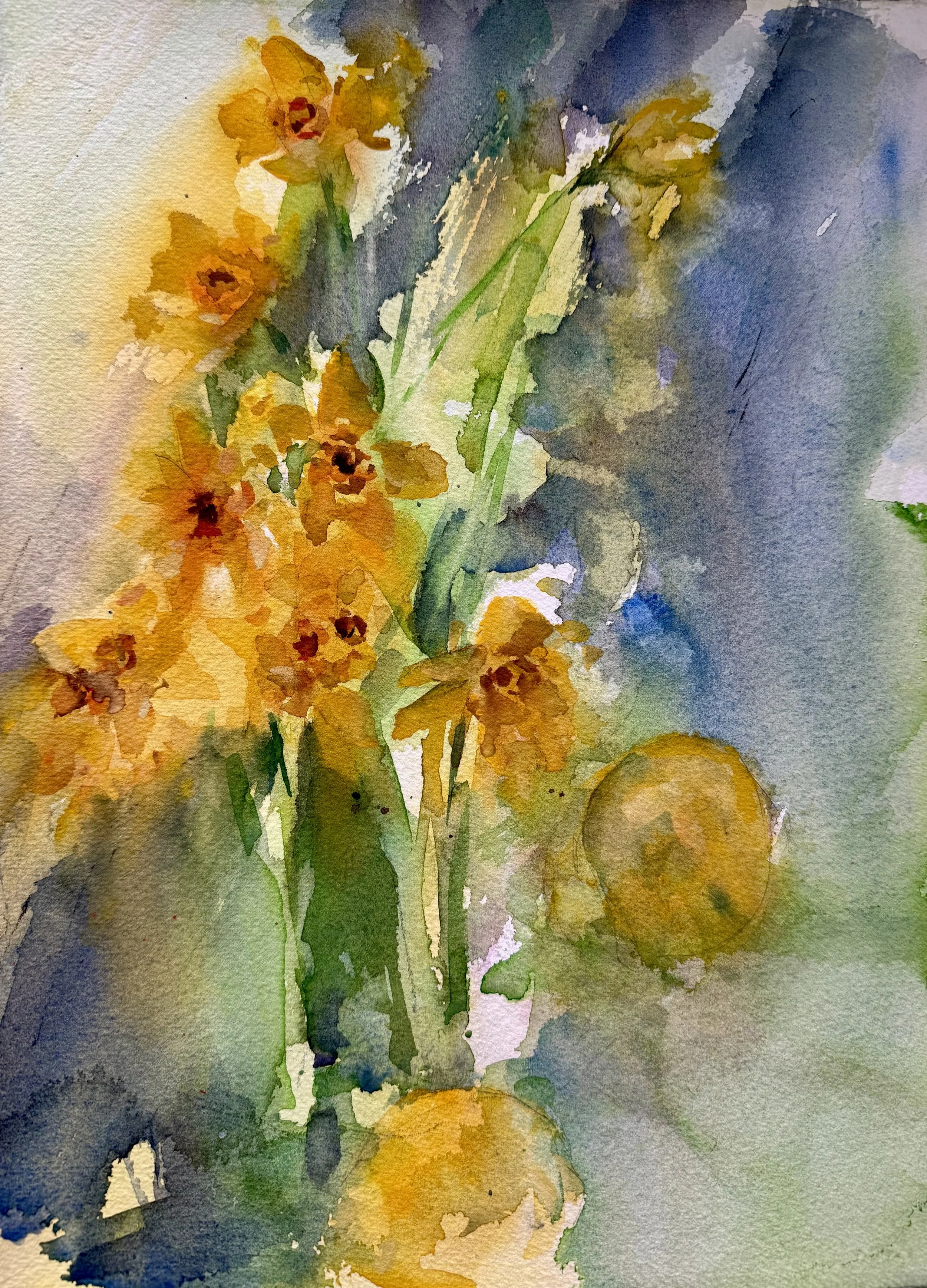 Daffodils
