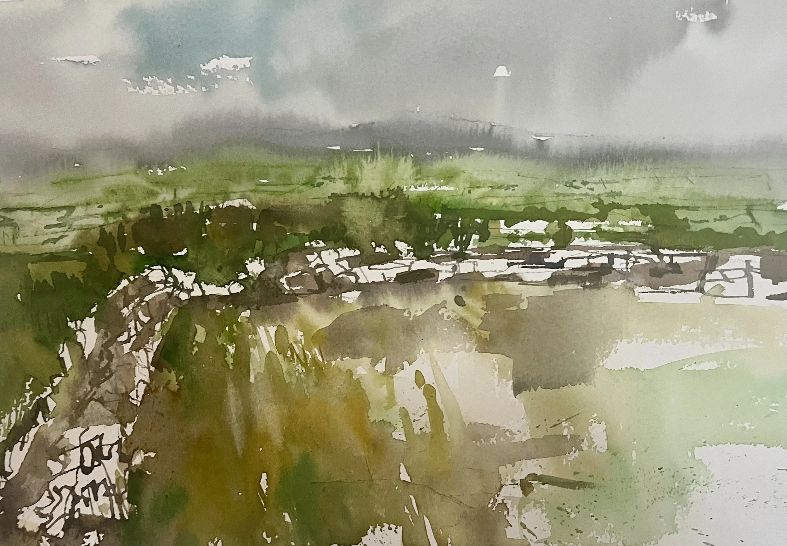 Landscape at Mullaghmore IV