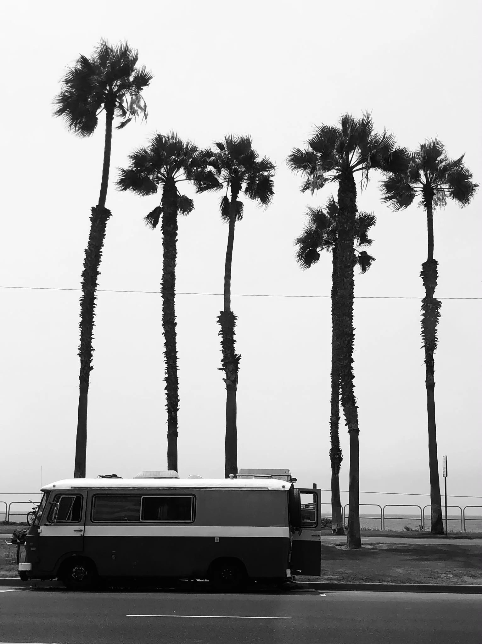 A row of tall palm trees with fronds blowing in the wind, and a recreational vehicle (RV) parked on a street in front of them in black and white.