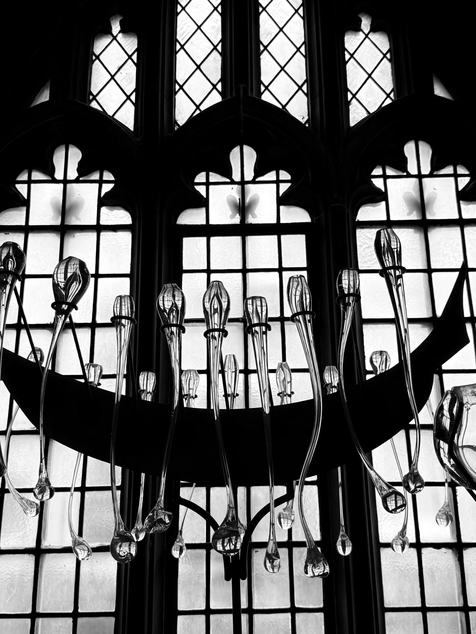 Black and white photograph of a chandelier hanging in front of large, ornate windows with a gothic style.