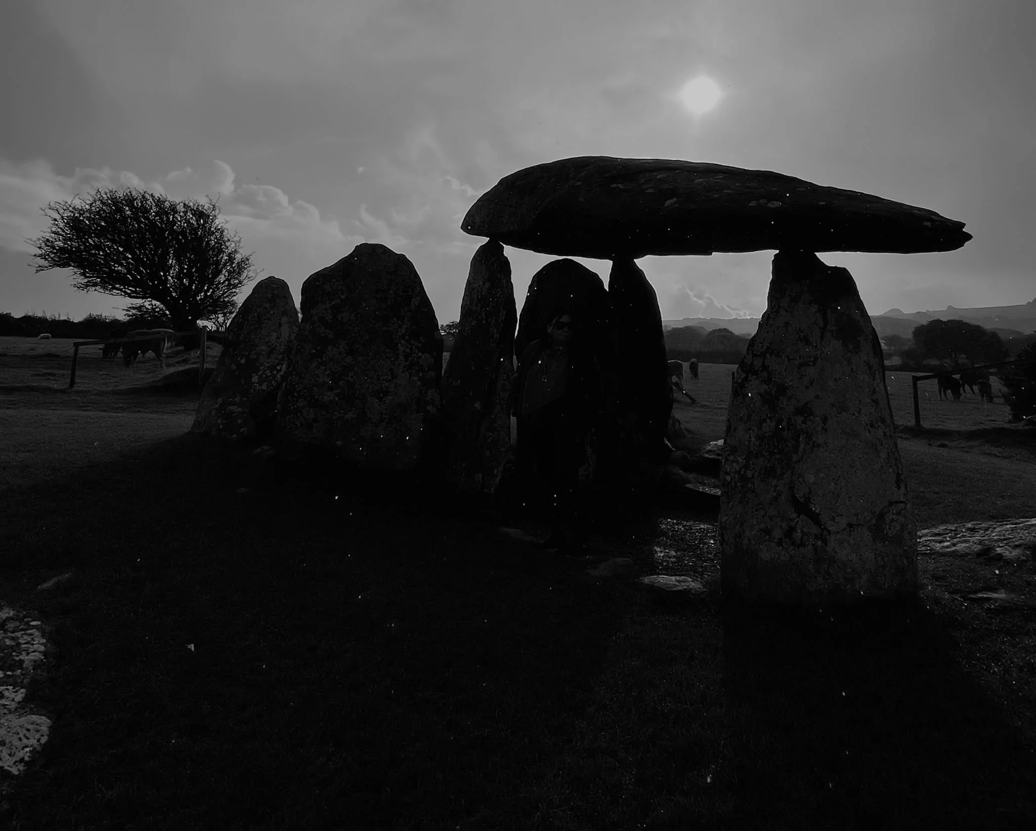 A group of large standing stones with one large flat stone balancing horizontally on top, resembling a dolmen, with a lone tree and grazing sheep in the background under cloudy skies.