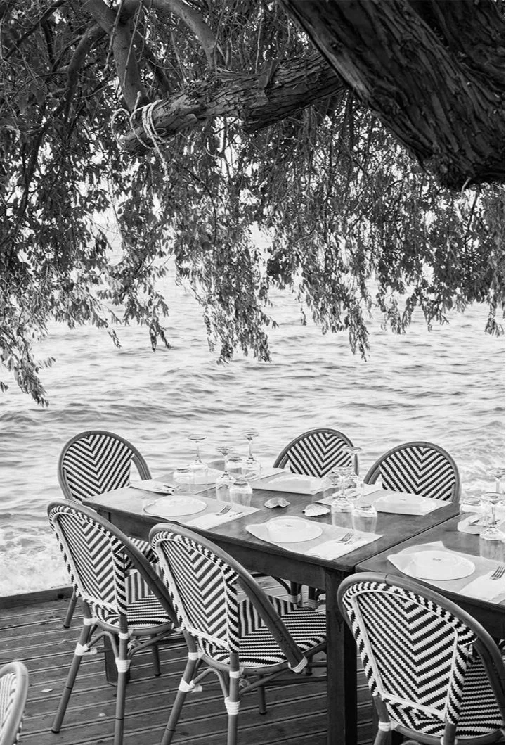Outdoor dining area with a table set, beneath a large tree overlooking the mediterranean sea. The perfect alfresco dining.