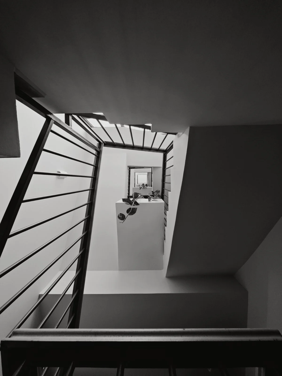 Inside view of a modern stairwell with metal railings and a small potted plant on a ledge, looking upward.