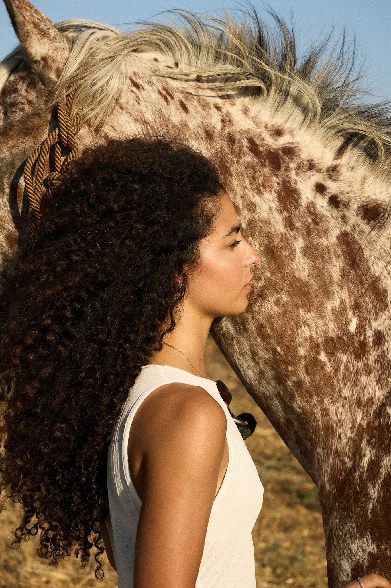 AvishagHorses0003_AdiShoshani.jpg