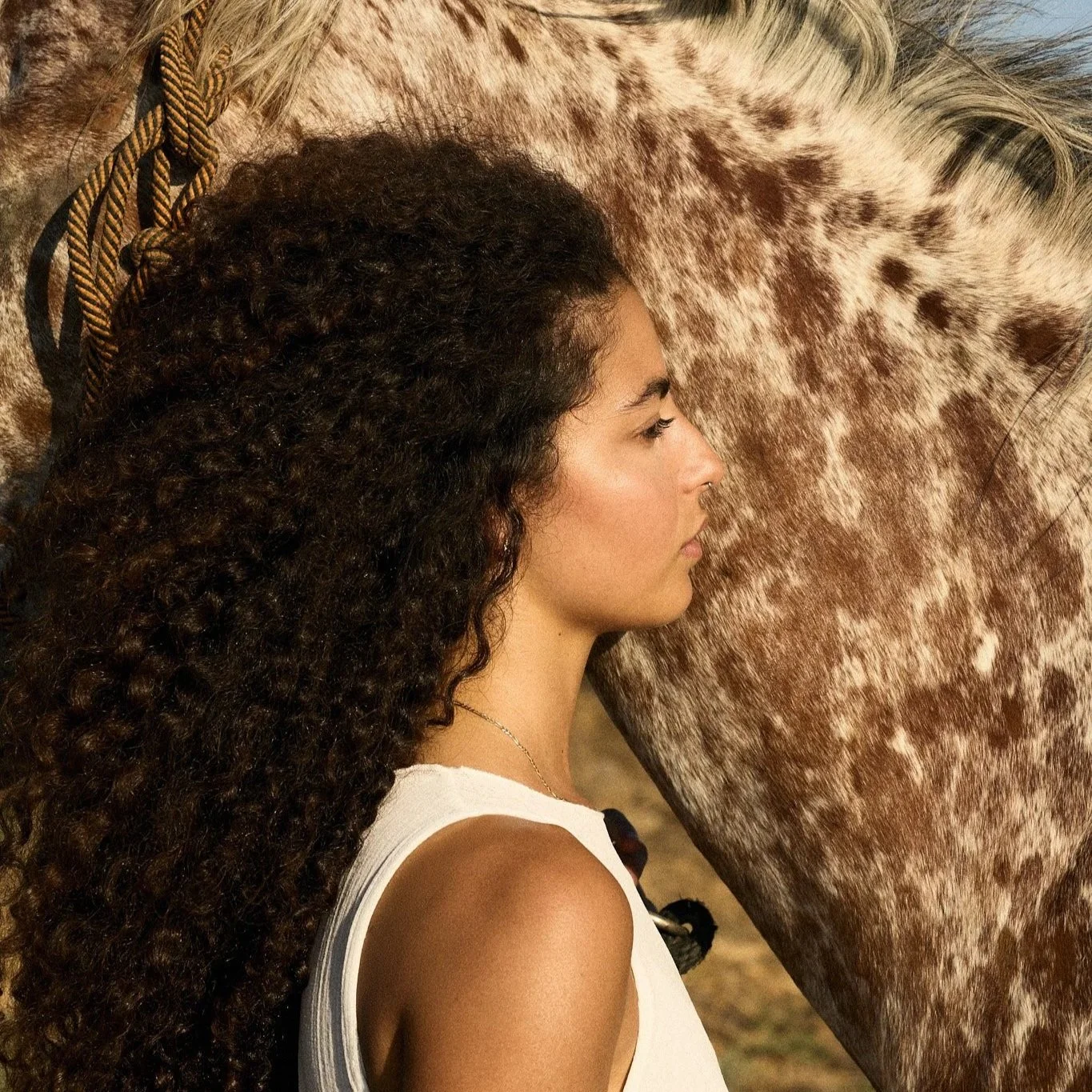 Avishag | Wild Horse Editorial