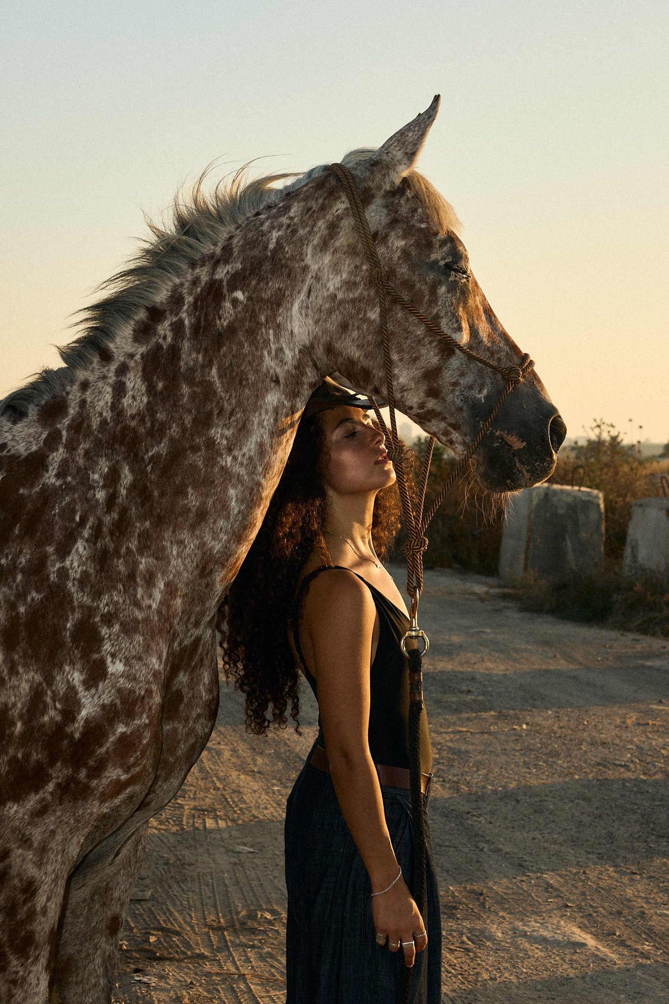 AvishagHorses0270_AdiShoshani.jpg