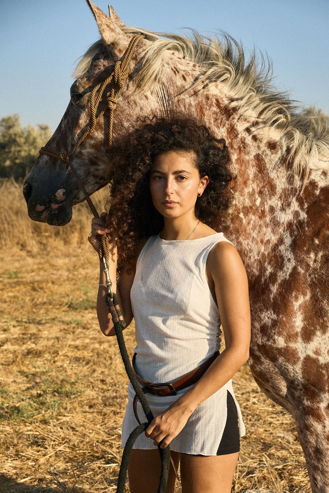 AvishagHorses0039_AdiShoshani.jpg