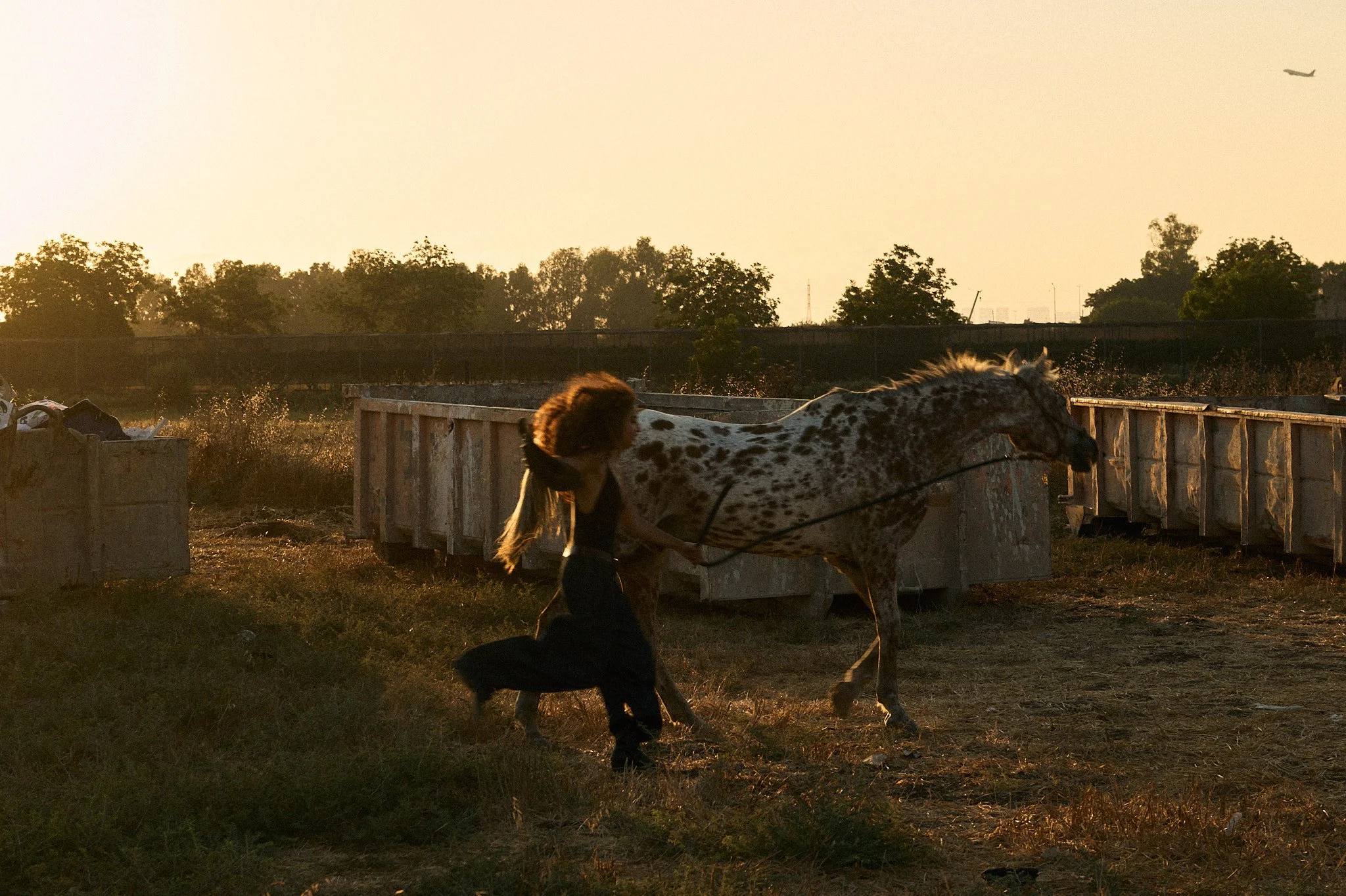 AvishagHorses0294_AdiShoshani.jpg