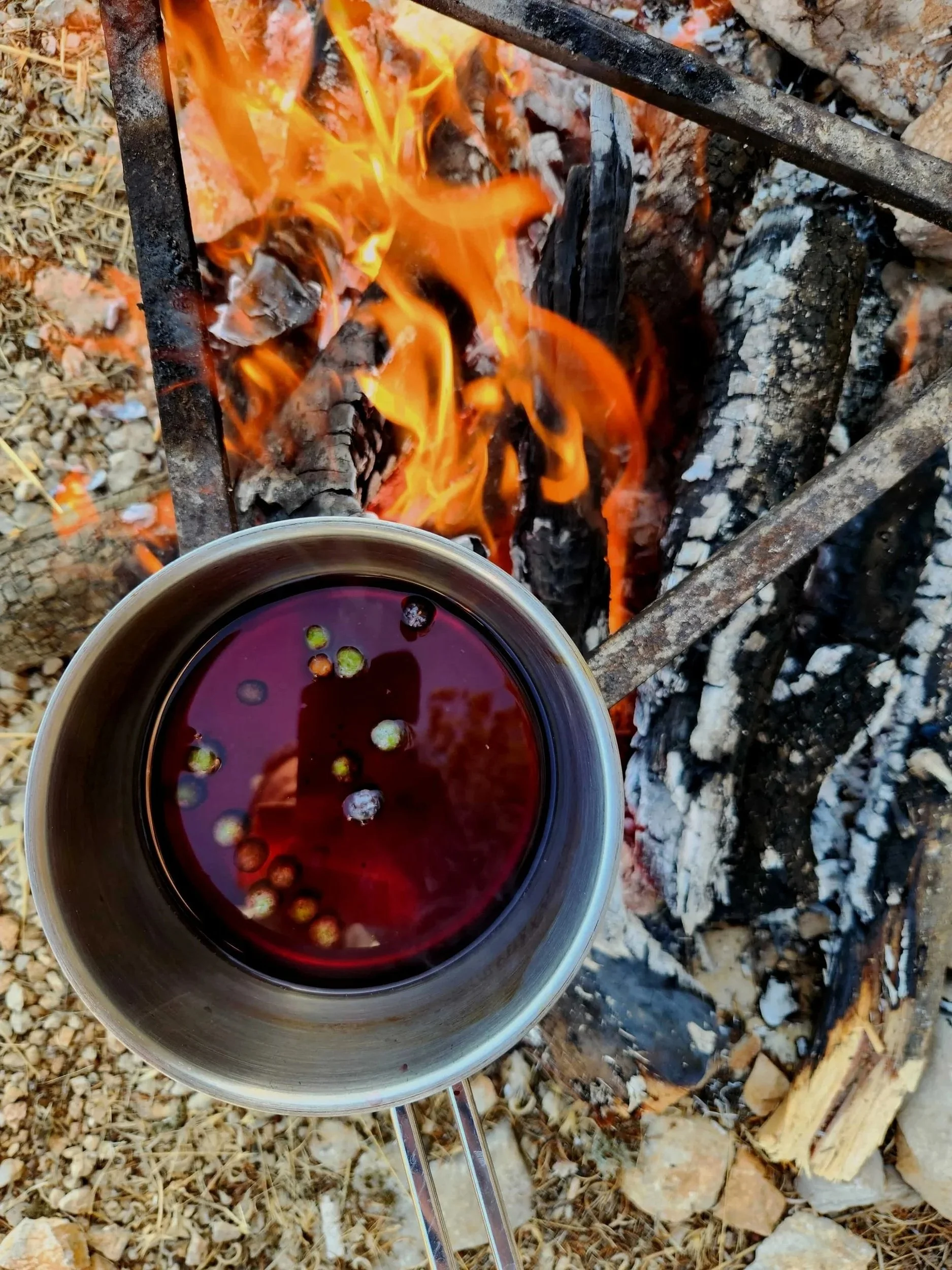 A metal cup filled with a dark purple liquid containing floating small green and purple berries, placed on the ground near a campfire with burning wood and charcoal.